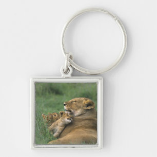 Porte-clés Tanzanie, cratère du Ngorongoro. Lionne africaine