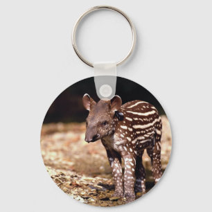 Porte-clés Tapir brésilien, jeune veau près de rivière