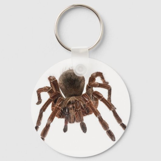 PORTE-CLÉS TARANTULA (Recto)