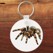 Porte-clés Tarantula (Recto)