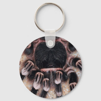 Porte-clés Tarantula du genou blanc