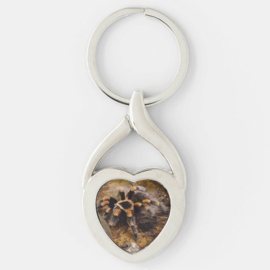 Porte-clés Tarantula Heart Keychain (Devant)