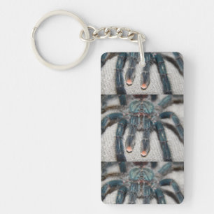 Porte-clés tarantule bleue