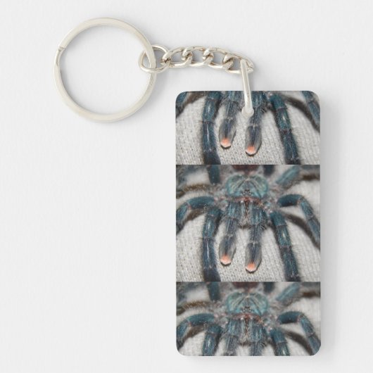 Porte-clés tarantule bleue (Devant)