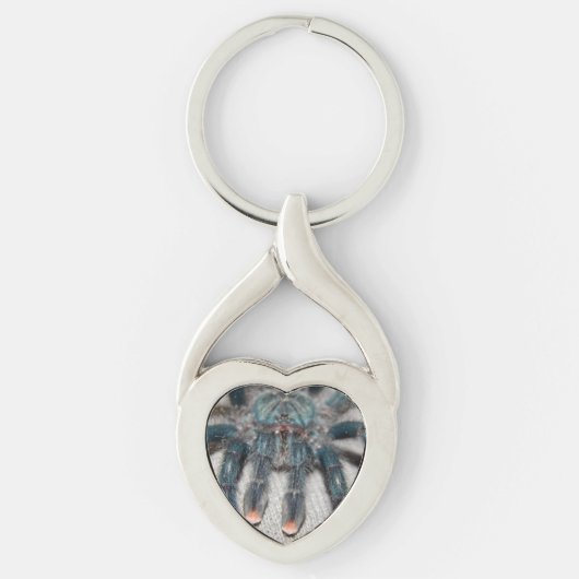 Porte-clés tarantule bleue (Devant)
