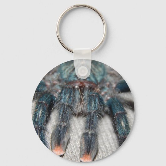 Porte-clés tarantule bleue (Recto)