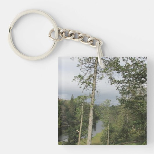 Porte-clés Tarn Hows Arbres Acryliques Clé Cercle (Devant)