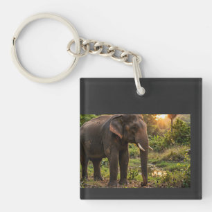 Porte-clés Tasse éléphant du parc national de Yala - Faune de