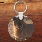 Porte-clés Tau, Lion, Photo (Recto)