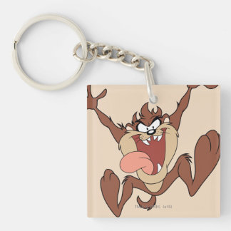 PORTE-CLÉS TAZ™