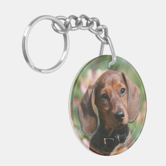 Porte-clés Teckel bronzage de Miniture (Devant gauche)