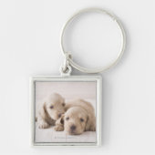 Porte-clés Teckel de deux miniatures (Devant)