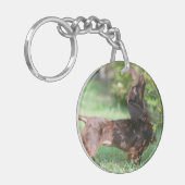 Porte-clés Teckel miniature aux cheveux longs 1 (Devant gauche)