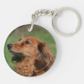 Porte-clés Teckel miniature aux cheveux longs 2 (Dos)