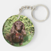 Porte-clés Teckel miniature aux cheveux longs Brown (Dos)