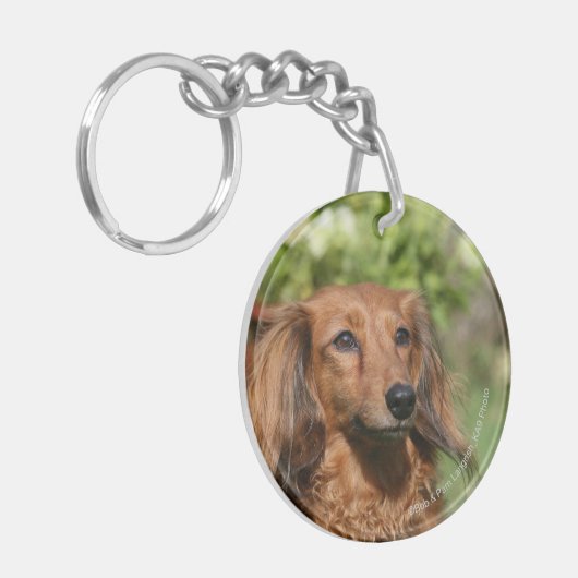 Porte-clés Teckel miniature aux cheveux longs rouge (Devant gauche)