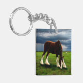 Porte-clés Tempête de Clydesdale (Devant gauche)