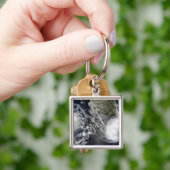 Porte-clés Tempêtes tropicales à Blas et Celia (main)
