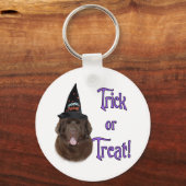 Porte-clés Terre-Neuve (brun) Trick (Recto)