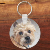 Porte-clés Terrier Cairn doré (Recto)