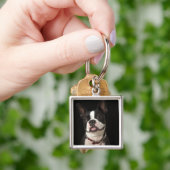 Porte-clés Terrier de sourire de Boston avec le collier (main)