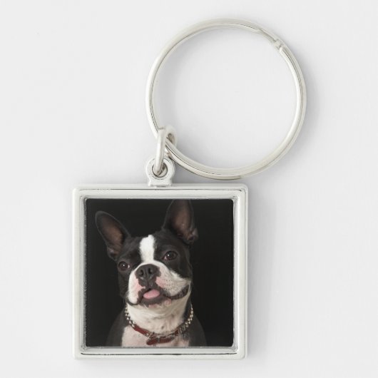 Porte-clés Terrier de sourire de Boston avec le collier (Devant)