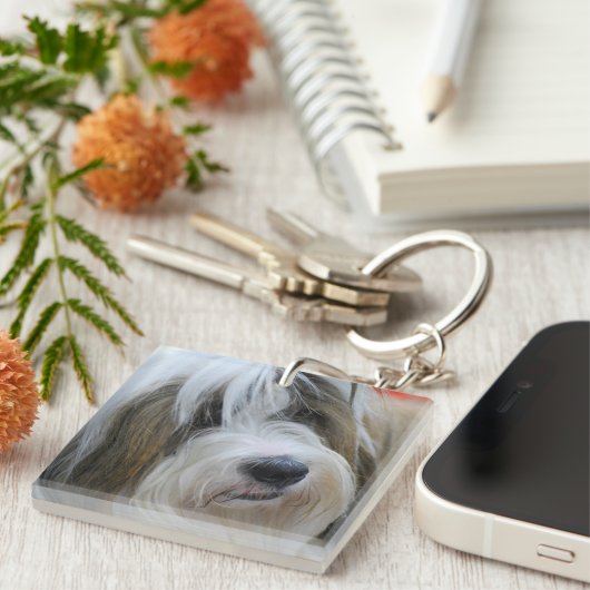 Porte-clés Terrier tibétain (Devant Droit)