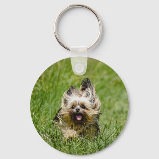 Porte-clés Terrier Yorkshire mignon Traversant L'Herbe (Recto)