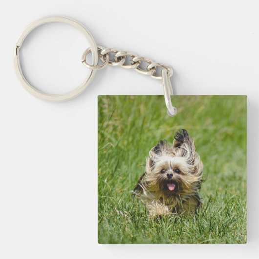 Porte-clés Terrier Yorkshire mignon Traversant L'Herbe (Devant)
