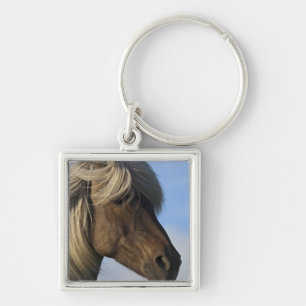 Porte-clés Tête de cheval islandais, Islande