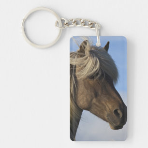 Porte-clés Tête de cheval islandais, Islande