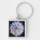 Porte-clés Tête de semence Dandelion (Taraxacum Officinale) (Devant)