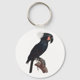 Porte-clés The Palm Cockatoo, Probosciger aterrimus Parrot