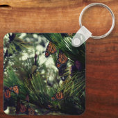 PORTE-CLÉS THEMONARCHS MONARCHS 3  (Verso)