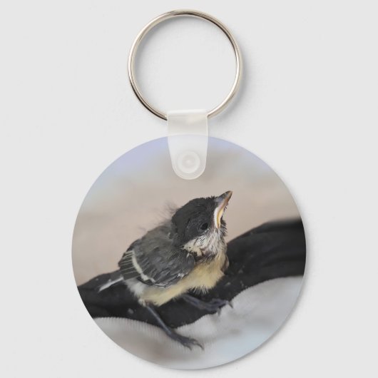 Porte-clés Tidi my Bird le Parus Major (Recto)