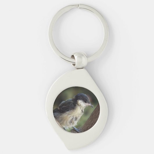 Porte-clés Tidi my Bird le Parus Major (Devant)