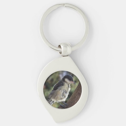 Porte-clés Tidi my Bird le Parus Major (Devant)