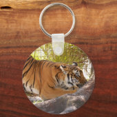 Porte-clés Tiger Bengali 001 (Recto)