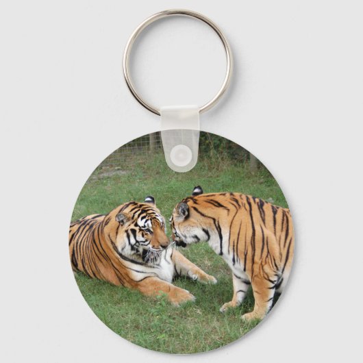 Porte-clés Tiger Friends-008 (Recto)