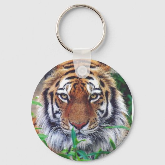 Porte-clés Tiger Stare (Recto)
