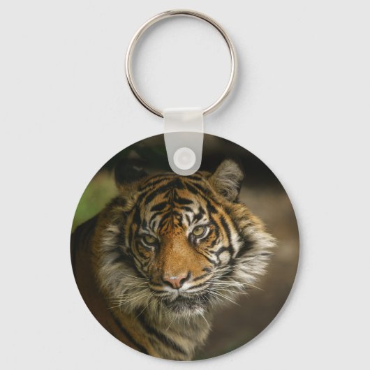 Porte-clés Tiger Stare (Recto)