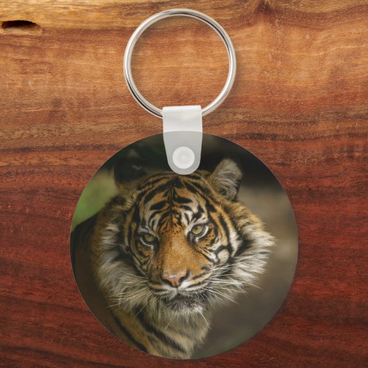 Porte-clés Tiger Stare (Recto)