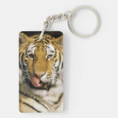 Porte-clés Tiger Zoo du Michigan (Dos)