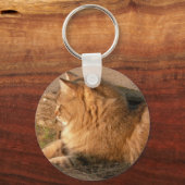 Porte-clés Tiggle de rhum (Recto)