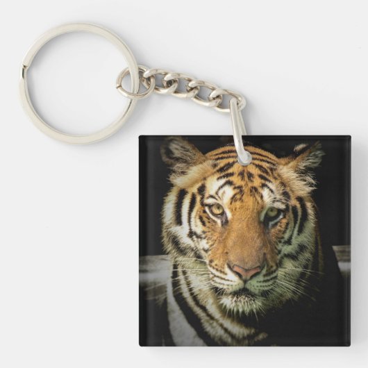 Porte-clés tigre (Devant)