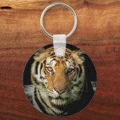 Porte-clés tigre (Recto)