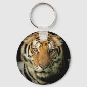 Porte-clés tigre (Verso)