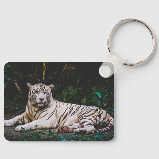 Porte-clés Tigre (Recto)