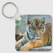 Porte-clés Tigre 034 (Recto)