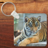 Porte-clés Tigre 034 (Recto)